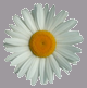jungshoved.net